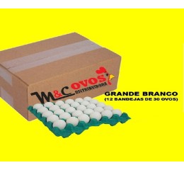 CAIXA OVOS GRANDE BRANCO C/360 OVOS